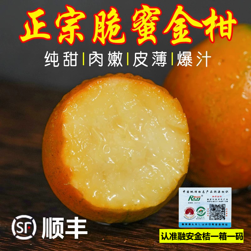 广西融安脆蜜金桔级纯甜新鲜孕妇水果冰糖甜心优惠小橘子顺丰包邮