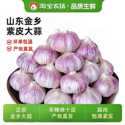 山东金乡精选正宗紫皮大蒜头