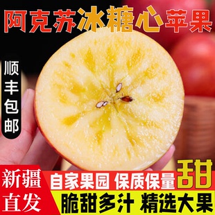 包邮 新疆直发阿克苏冰糖心苹果当季 新鲜水果脆甜多汁孕妇水果顺丰