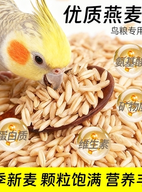 鹦鹉燕麦米当季新米麦仁杂粮主食2025年营养健康新鲜脱壳麦香浓郁