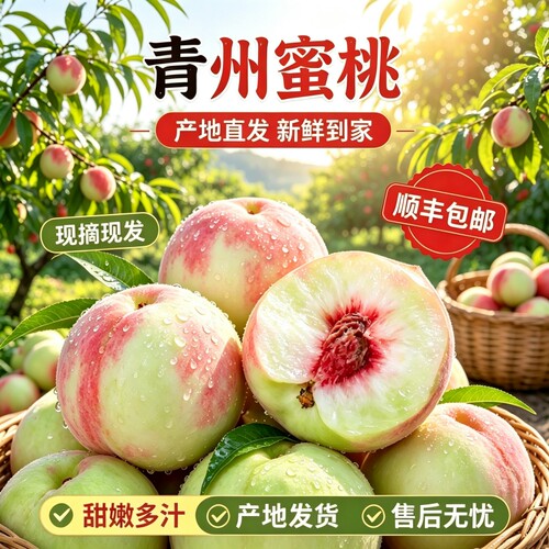 正宗青州蜜桃脆甜山东水蜜桃当季现摘现发应季新鲜水果顺丰包邮