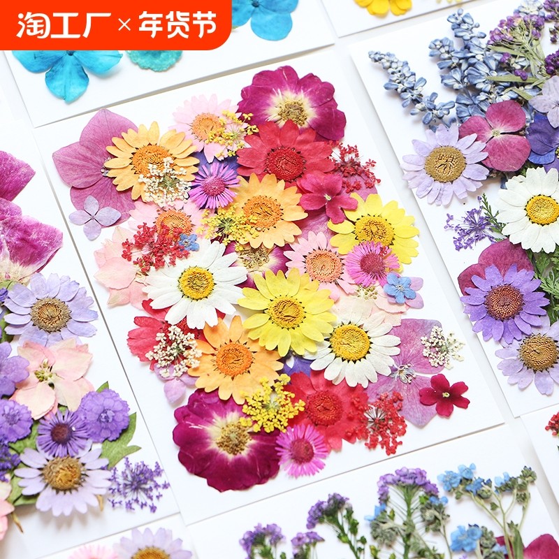 �ۻ��㣺��ɫ���� �ɻ��� �ɻ�diy���ϰ�������ѹ��ƬѺ�����ֹ��ν���ǩ�滨ֲ����Ҷ�걾