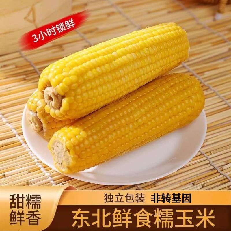 黑土地精选东北新鲜甜糯玉米非转基因低脂代餐真空独立包装糯玉米