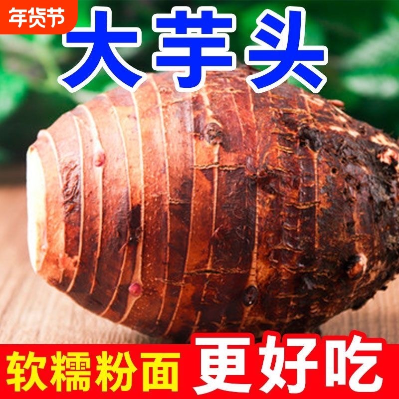 正宗云南高山大香芋头毛芋头香甜粉糯特产香芋非槟榔芋现发软糯香,水产肉类/新鲜蔬果/熟食,芋头,淘宝优惠券,粉丝福利购,淘宝优惠卷
