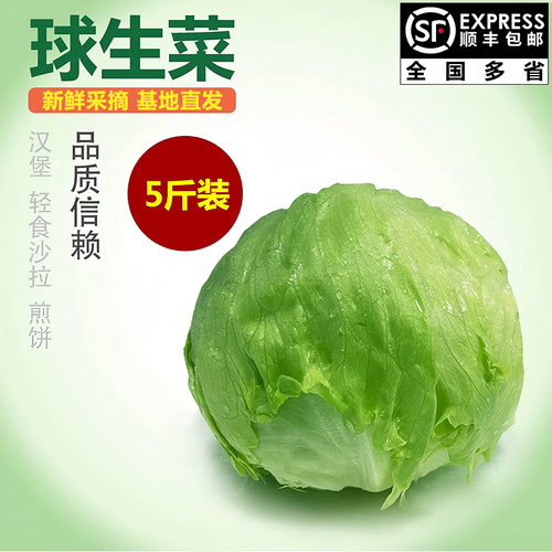 千牛优福新鲜球生菜轻食沙拉食材