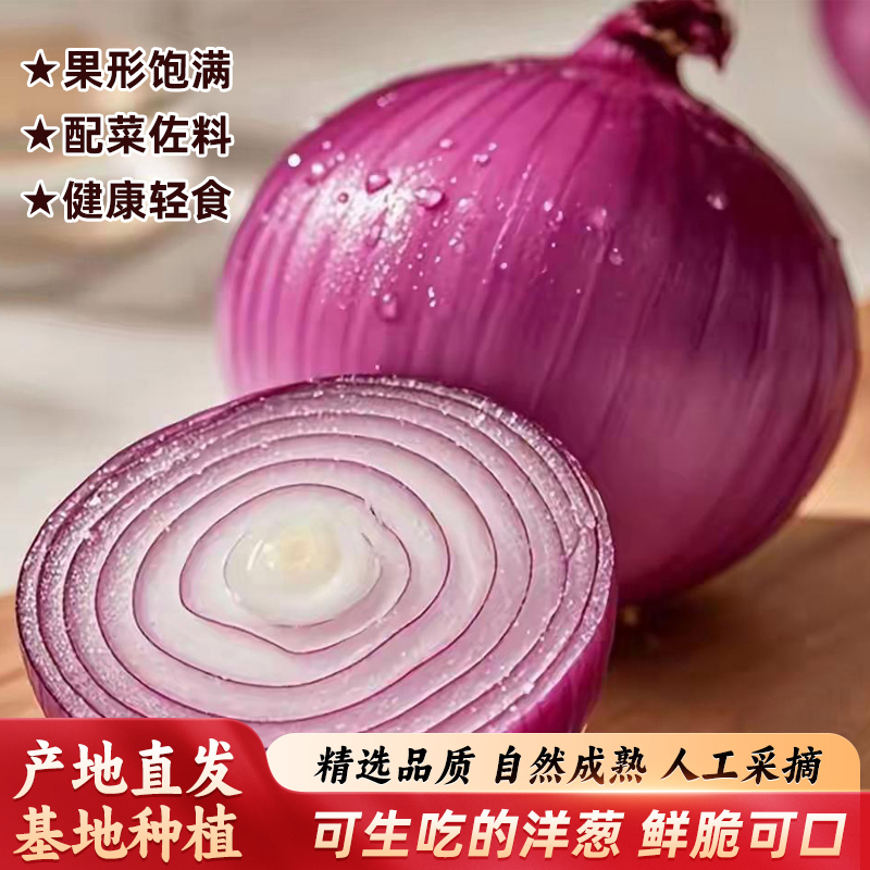 紫皮洋葱生吃脆甜应季蔬菜健康轻食沙拉拌面酱5斤爽脆可口新鲜