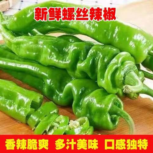 山东新鲜螺丝胶香辣薄皮炒肉必备