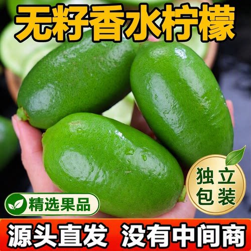 香水柠檬新鲜正宗青柠檬