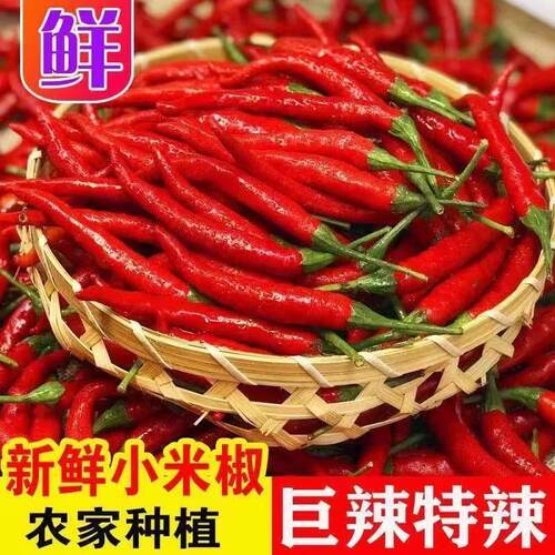 现摘特辣新鲜小米椒朝天椒小米辣红辣椒剁椒泡椒开胃下饭小鲜辣