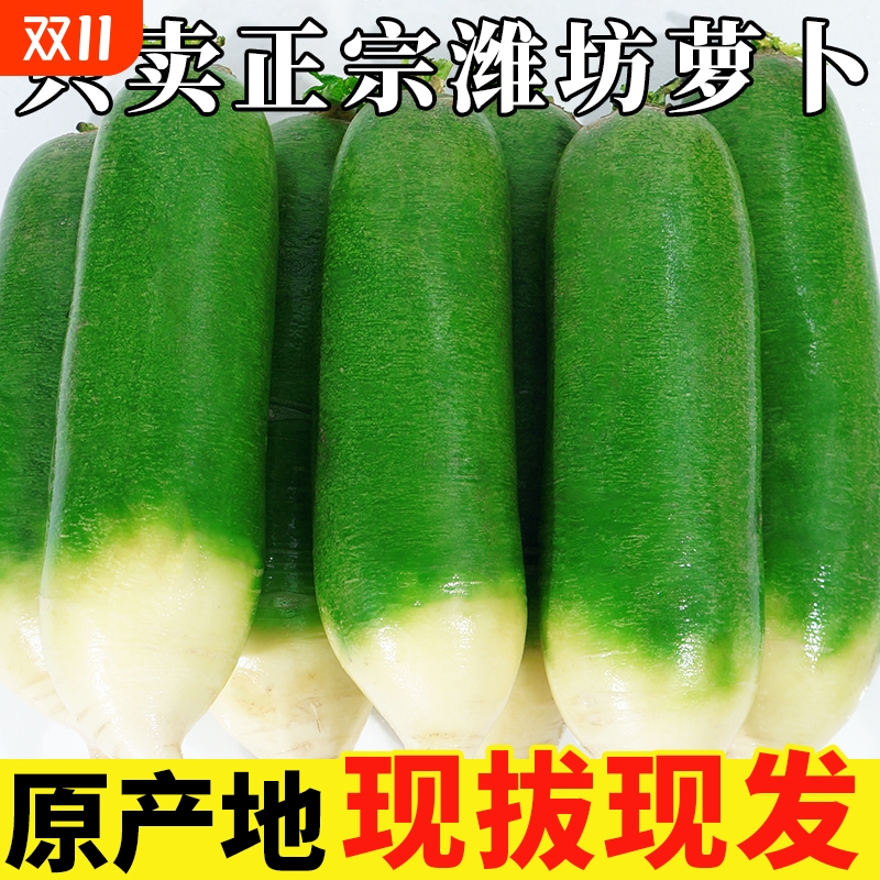 山东潍坊现摘水果萝卜新鲜甜脆水果型生吃正宗青绿萝卜健康好吃