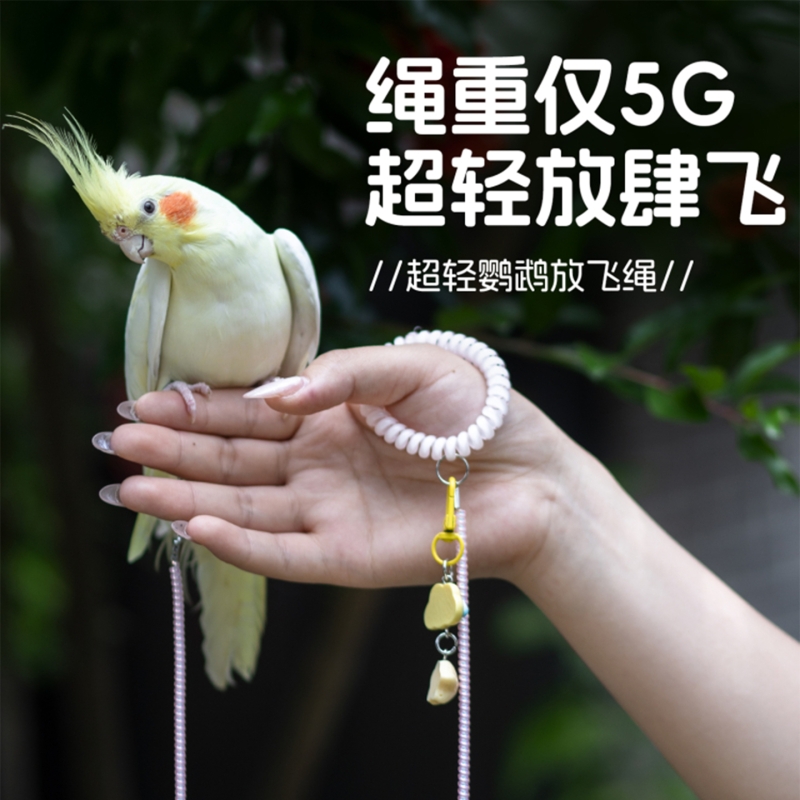 鹦鹉专用放飞绳超轻不伤脚虎皮牡丹玄凤外出牵引绳伸缩遛鸟小鸟用