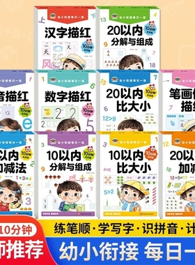 幼小衔接教材全套10册每日一练幼儿园大班一日一练1020以内加减法天天练学前班专项训练衔接拼音汉字描红本分解笔画写字笔顺计算