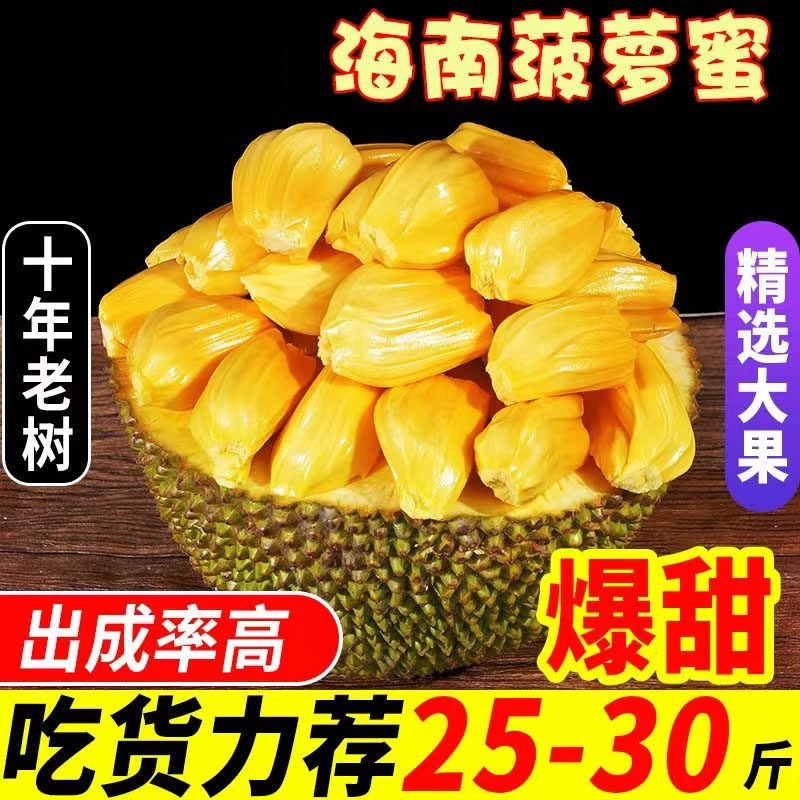 现摘海南三亚黄肉菠萝蜜新鲜水果当季干苞脆甜黄肉木波罗蜜一整个