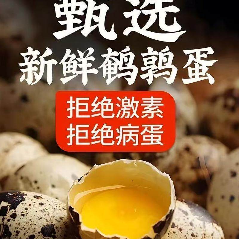 新鲜鹌鹑蛋生蛋新鲜生的农家散养礼盒孕产妇滋补营养宝宝辅食