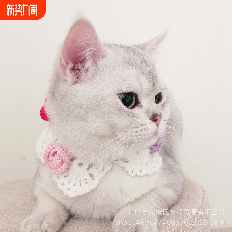 手工编织宠物饰品猫咪领结多彩花朵项圈假领英短美短布偶