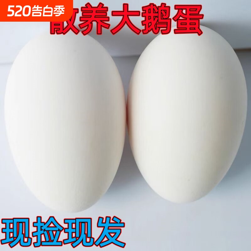 土鹅蛋农家新鲜正宗农家散养当天现捡大白鹅蛋孕妇营养