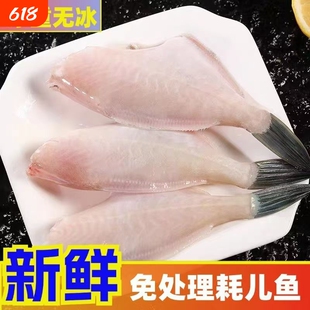 包邮耗儿鱼新鲜冷冻中大号商用免处理火锅马面鱼扒皮剥皮鱼海鲜