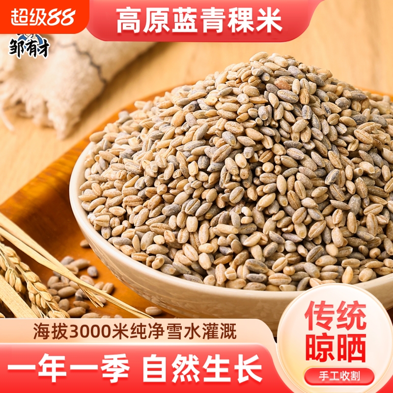蓝青稞米高原特产新米