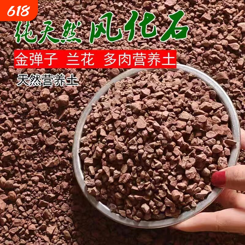 天然风化石风化土红土颗粒风化沙盆景专用土黄杨金弹子专用生根土