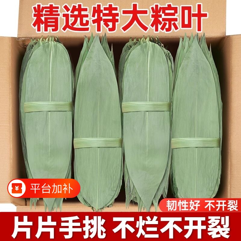 干粽叶特大号粽子叶新鲜麻竹叶商家用箬叶包粽子材料送绳子