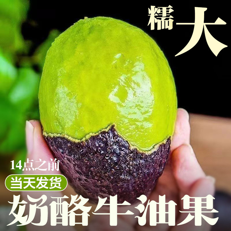 牛油果新鲜水果大果15个即食当季整箱包邮孕妇熟透一级鳄梨,水产肉类/新鲜蔬果/熟食,牛油果,淘宝优惠券,粉丝福利购,淘宝优惠卷