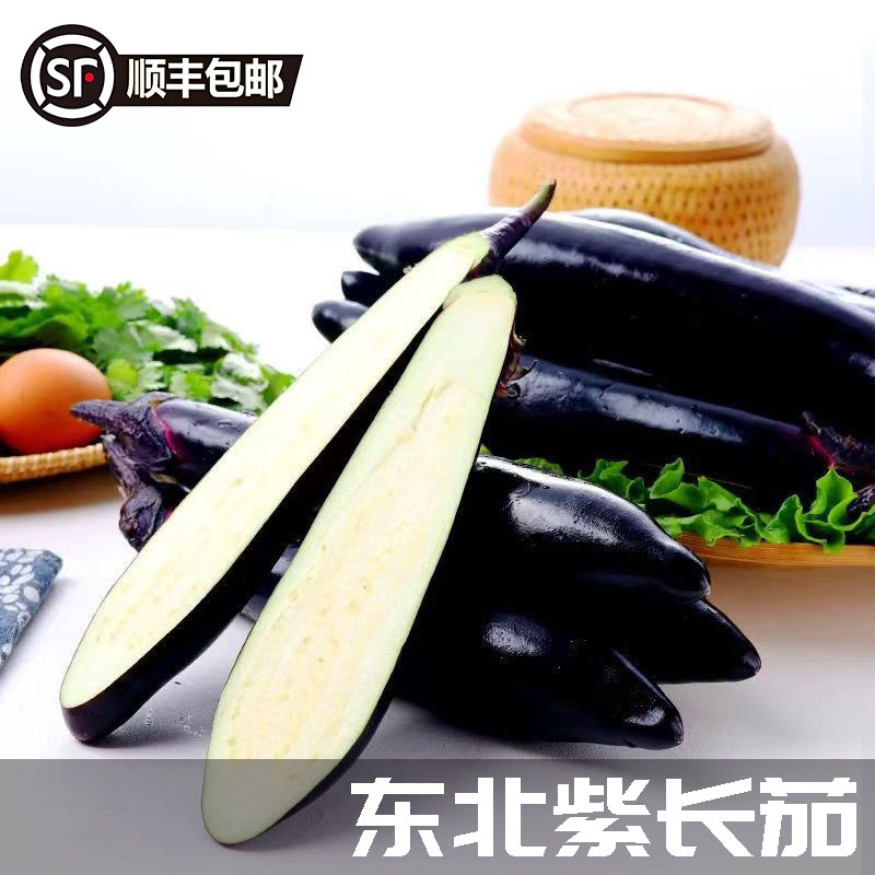 东北特产紫长茄紫库紫茄子鲜嫩好吃应季新摘顺丰可选包邮火锅配菜