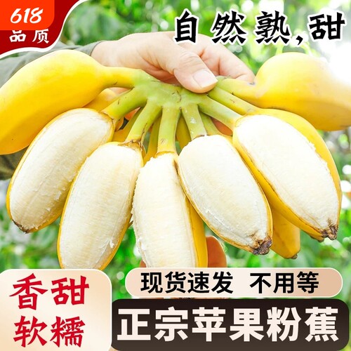 苹果蕉正宗香蕉芭蕉当季整箱自然熟小米蕉新鲜水果芭蕉包邮粉蕉