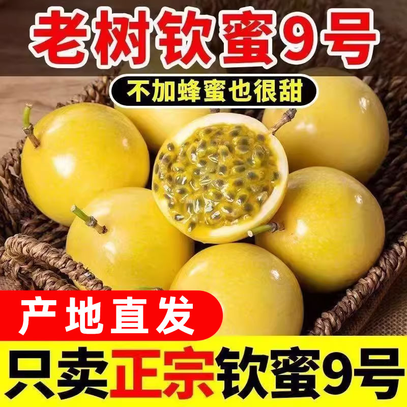 福建钦蜜9号新鲜黄金百香果净重3斤现摘当季水果整箱产地直发