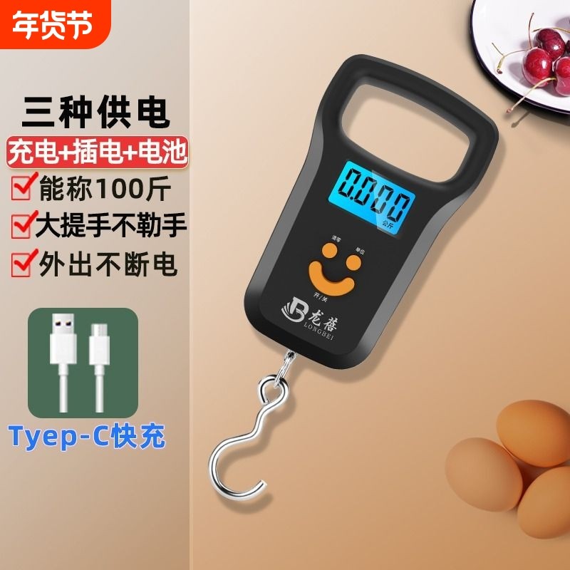 龙蓓迷你手提电子秤50kg便携式高精度家用快递称小秤弹簧小型手拿