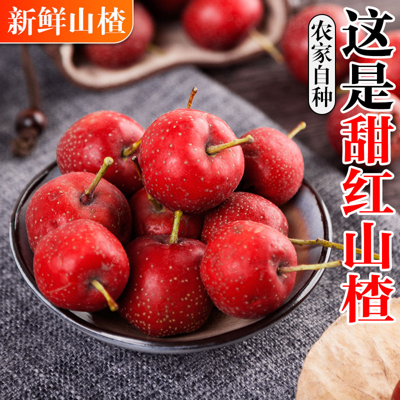 新鲜山楂果大山楂鲜果红果鲜山楂大果山里红冰糖葫芦用现摘生山楂