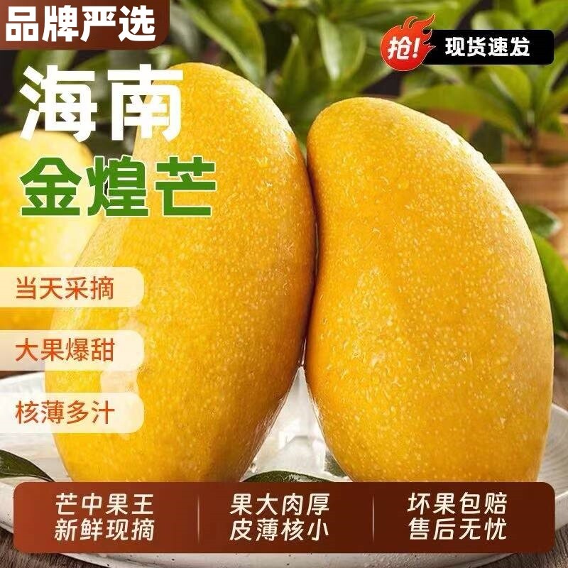 海南金煌芒果水仙芒果整箱9斤新鲜现摘当季热带水果核小肉厚5大果