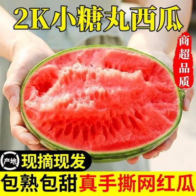 正宗山东小糖丸2K西瓜脆甜冰糖红沙瓤薄皮无籽麒麟瓜新鲜水果现摘