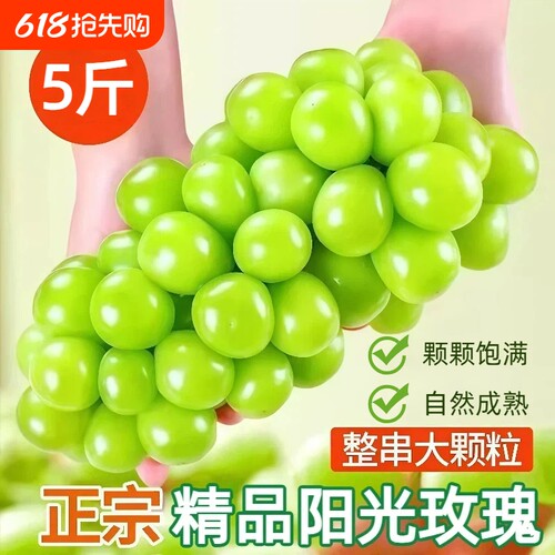 阳光玫瑰葡萄新鲜水果5斤脆甜无籽晴王香印青提当季整箱顺丰包邮