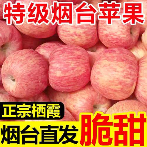 正宗烟台红富士苹果一整箱山东红富士产地直发现摘脆甜冰糖心批发