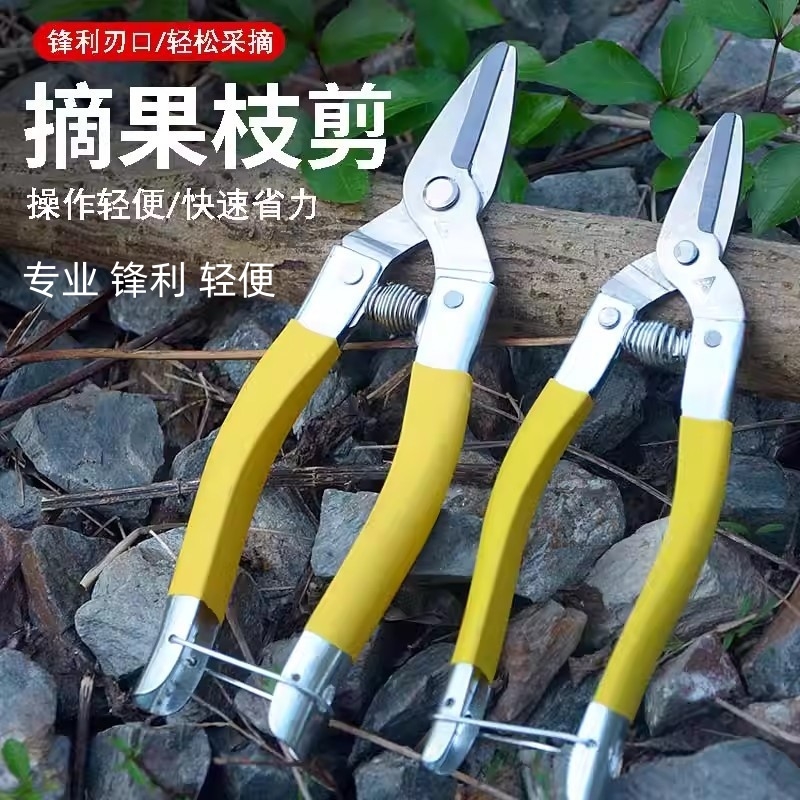 不锈钢摘果剪柑橘剪圆头剪果子剪柑桔剪平头直头水果采摘剪刀果剪
