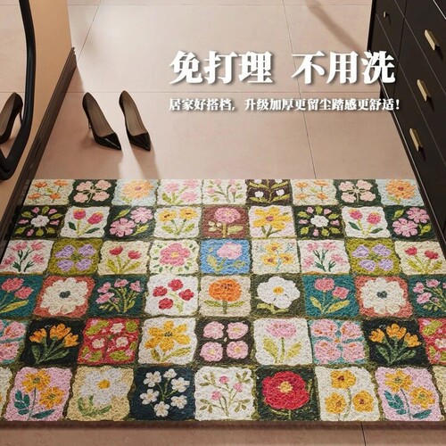 丝圈地垫耐脏免洗入户门地垫