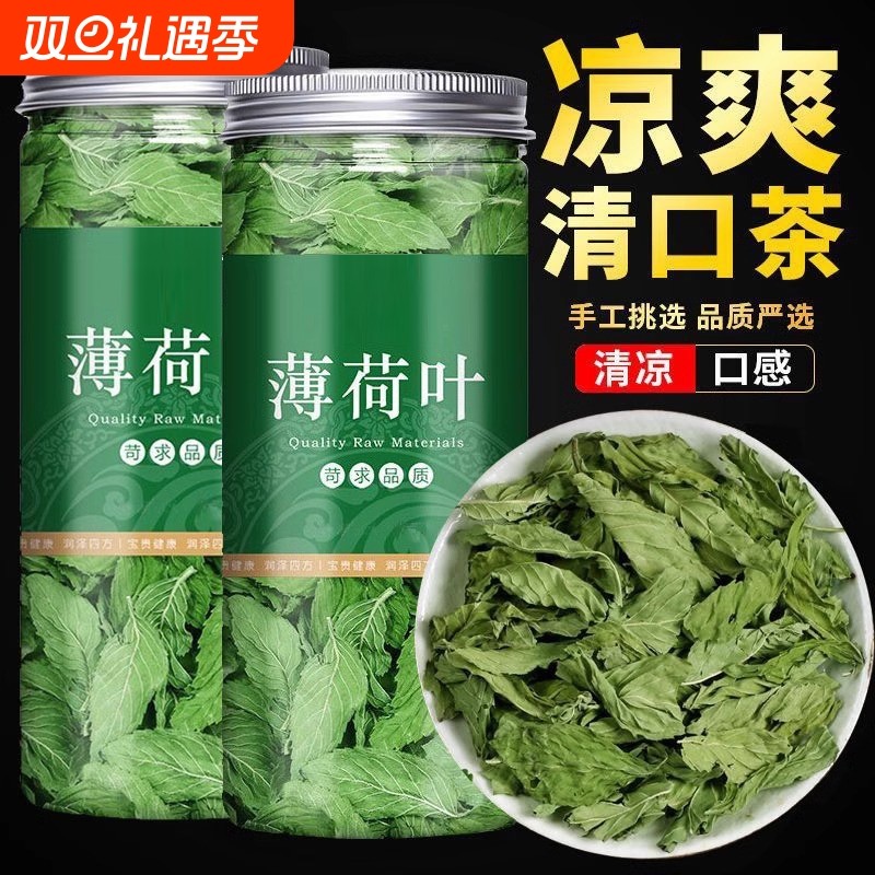 薄荷叶泡茶泡水喝新鲜薄荷茶新货薄荷叶食用搭配柠檬罐装花茶夏季