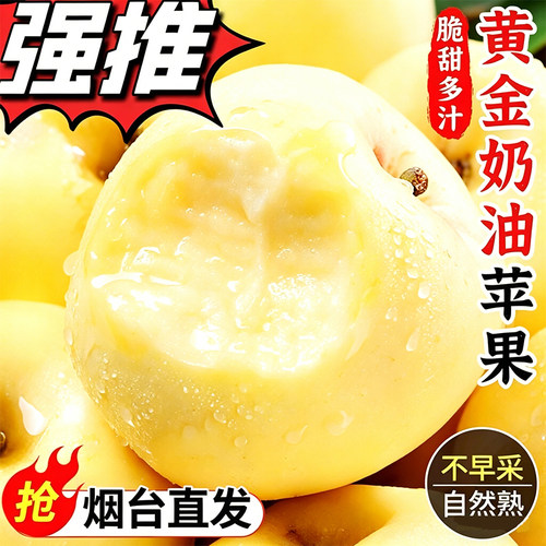 山东烟台黄金奶油富士苹果新鲜水果现货3斤/4.5斤/8.5斤多规格