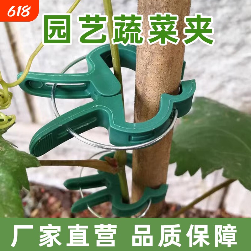 爬藤植物固定夹大号绿色卡扣蔬菜番茄花卉瓜果枝条藤蔓固定夹扣子