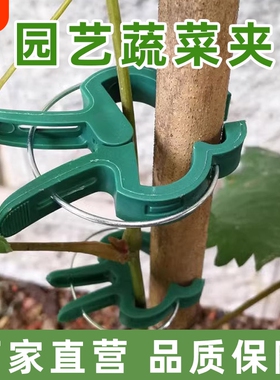 爬藤植物固定夹大号绿色卡扣蔬菜番茄花卉瓜果枝条藤蔓固定夹扣子