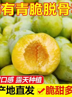 四川正宗脱骨李青脆李冰糖李子