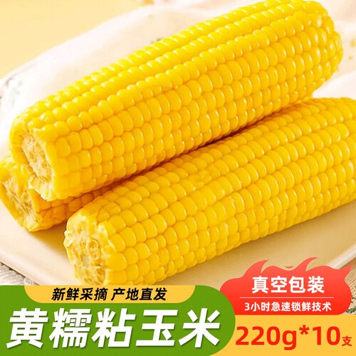 东北黄糯玉米新鲜甜黄玉米粒加热即食真空装袋黏粘苞米代早餐粗粮
