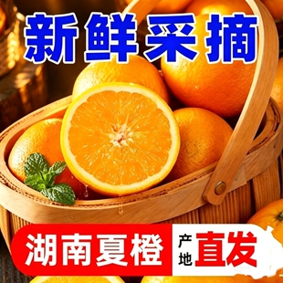 现摘现发夏橙橙子新鲜榨汁手剥脐橙香橙甜橙产地直发整箱大果鲜橙