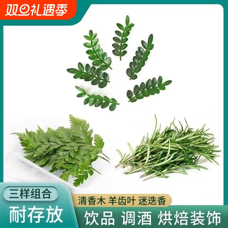 鸡尾酒装饰叶子新鲜清香木迷迭香羊齿叶烘焙蛋糕甜品调酒庭院厨房