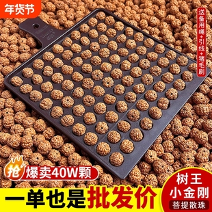 树王爆肉小金刚菩提手串原籽散珠男士108颗佛珠DIY文玩盘玩手链女