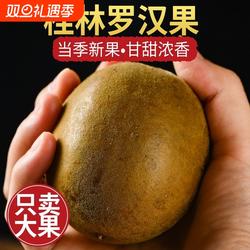 罗汉果干果中药材大果正品旗舰店广西特产干货鲜桂林罗汉果茶泡水