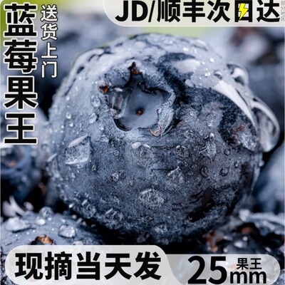 云南蓝莓鲜果新鲜水果现货L25花香蓝莓高山怡颗甜莓特大果顺丰