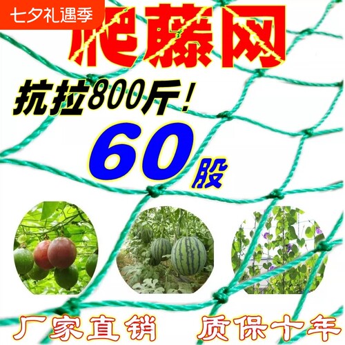 爬藤网植物攀爬网丝瓜豆角苦瓜月季蔬菜百香果专用种植网瓜果花园
