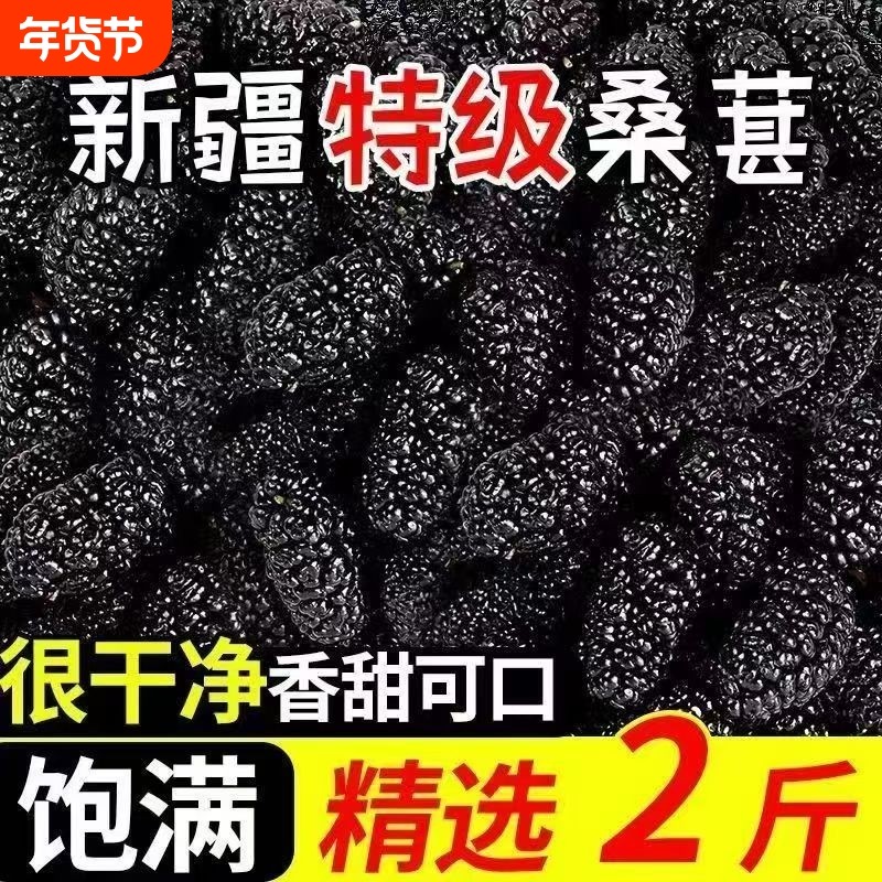 新疆野生黑桑葚桑葚干免洗无沙桑新疆罐装特级直泡茶泡水泡酒无沙