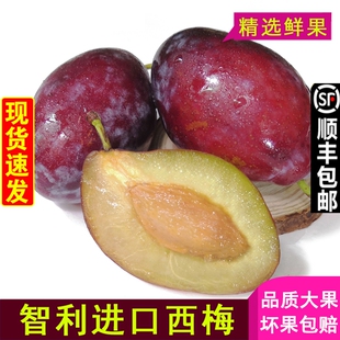 现货 智利西梅大果甜李子新鲜水果孕妇法兰西西梅当季批发包邮
